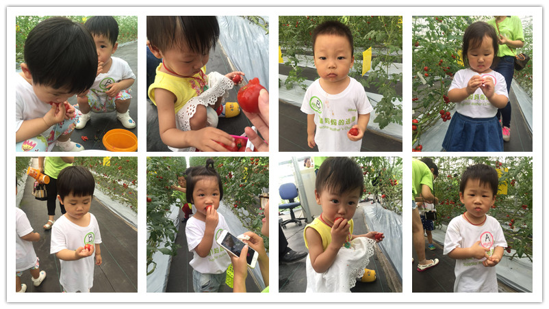 BBunion国际早教7月上旬活动回顾 BBunion国际早教7月上旬活动回顾